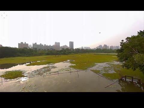 洲仔濕地公園 大池觀景台 360 4K全景即時影像