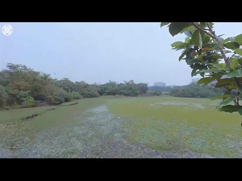 洲仔濕地公園 360 4K全景即時影像