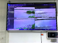 1101130養工新聞照片-多方角度的監測系統，濕地現況盡收眼底