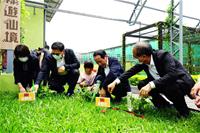 中正國小綠遊仙境（綠屋頂計畫）獲得2021年城市工程品質金質獎