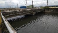 相關圖片：原崎漏里橋是一座橫跨大湖埤排水的雙跨橋梁，為連接大湖埤兩側養殖魚塭的重要幹道