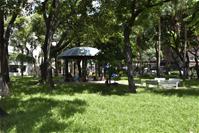 相關圖片：[圖六] 華榮公園內有綠樹成蔭，在這炎炎夏日不怕太陽曬。_0