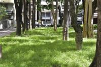 相關圖片：[圖三] 鼓山區華榮公園總植草面積達1500平方公尺。_0