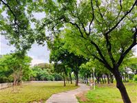 相關圖片：[圖二] 公園處進行綠美化後，讓五常公園猶如重獲新生。_0