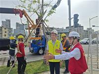 相關圖片：[圖七] 林欽榮至鐵路園道視察路樹加固整備作業防範康芮颱風。