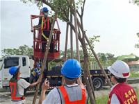 相關圖片：[圖九] 林欽榮至鐵路園道視察路樹加固整備作業防範康芮颱風。