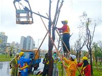 相關圖片：[圖二] 鐵路園道支架加固因應康芮颱風。