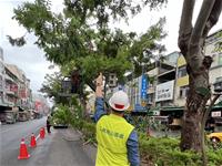 相關圖片：[圖七] 光華路移除下垂枝及枯枝防颱修剪以因應康芮颱風。