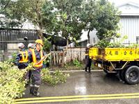 相關圖片：[圖四] 杉林區大愛路樹木修剪整理現場以因應康芮颱風。