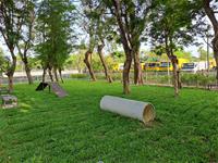 相關圖片：[圖三] 鳳山區中山公園擁有獨木橋、涵洞等寵物遊樂設施。