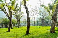 相關圖片：[圖5] 四維香花公園改造以「寬敞、明亮、通透」為核心設計理念。