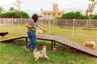 相關圖片：[圖3] 寵物活動區配備涵洞、獨木橋、休憩座椅等設施。