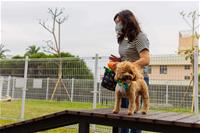 相關圖片：[圖4] 新設的寵物活動區依犬隻體型分為大小犬活動空間。