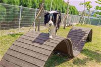 相關圖片：[圖10] 新設的寵物活動區依犬隻體型分為大小犬活動空間。