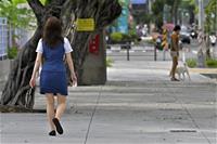 相關圖片：6