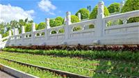 [圖1] 觀光大門入口處植栽新植。