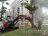 相關圖片：民權路樹木綁紮固定3_0