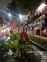 相關圖片：光華一路樹木斷枝清除1