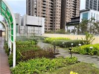 相關圖片：苓雅區四維國小示範工程 示範工程建置香草農園，吸引蝴蝶、蜻蜓點綴屋頂