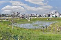 相關圖片：大寮區第81期重劃區公10及公13開闢工程(優質獎)_0