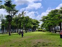 相關圖片：[圖10] 除草作業。