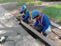 相關圖片：[圖5] 新光園道步道改善。