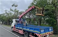相關圖片：[圖6]永安區永安路道路路樹修剪
