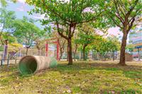 相關圖片：[圖10]岡山公園寵物活動區旁有日治時期保留至今的鳥居。