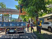 圖1 旗山區延平一路路樹修剪