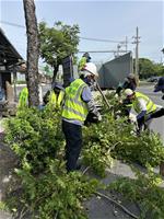 相關圖片：圖9 公園處人員清運枝條