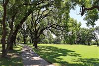 相關圖片：圖8、高雄果嶺自然公園曲徑通幽。