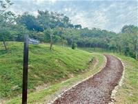 相關圖片：圖4、串聯步道導引通往高雄果嶺自然公園。