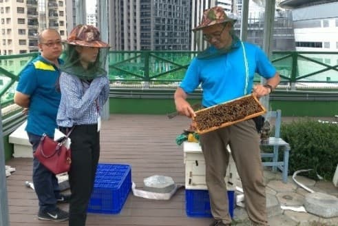 營造一個蝶飛蜂舞、蚓菜共生的健康五感城市(創新成果獎-健康環境)(環境圖)