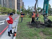 相關圖片：[圖四] 林欽榮副市長指示持續加派機具人員全面清除倒塌路樹。_0