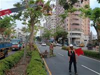 相關圖片：[圖三] 南京路樹枝修剪以因應康芮颱風。