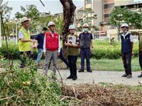 相關圖片：[圖三] 林欽榮至正道公園視察路樹加固整備作業防範康芮颱風。