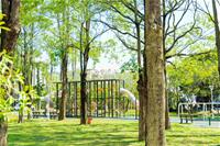 相關圖片：[圖十] 燕巢南燕公園讓飼主和毛孩都能擁有快樂的遊憩空間。