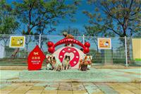[圖1] 橋頭新市鎮公園寵物活動區正式啟用，以柴犬意象打造亮點。