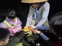 相關圖片：[圖3] 民眾跟著調查人員一同觀查與巡守。